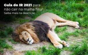 Guia Ir 2021 Para Nao Cair Na Malha Fina Saiba Mais Na Descricao Post 1 - GCY Contabilidade