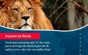 Voce Tem Somente Ate 31 De Maio Para Entrega Da Declaracao De Ir Saiba Como Nao Cair Na Malha Fina 1 - GCY Contabilidade